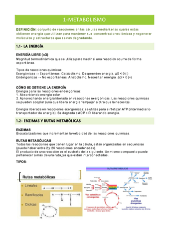 BIO1-bach-metabolismo.pdf