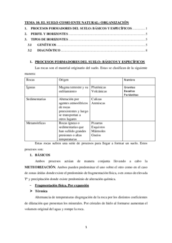 TEMA-10.-Organizacion-del-suelo.pdf