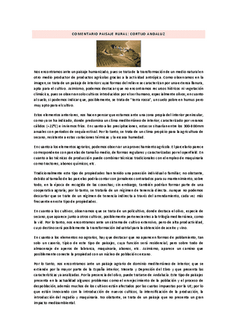 COMENTARIO-PAISAJE-RURAL-CORTIJO-ANDALUZ.pdf