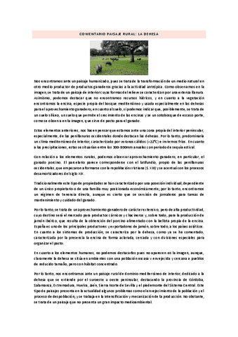 COMENTARIO-PAISAJE-RURAL-LA-DEHESA.pdf