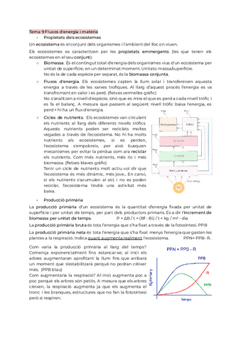 Tema9FluxosEnergia.pdf
