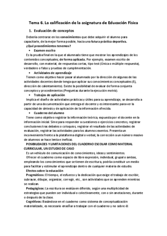 Tema-6.-La-calificacion-de-la-asignatura-de-Educacion-Fisica.pdf