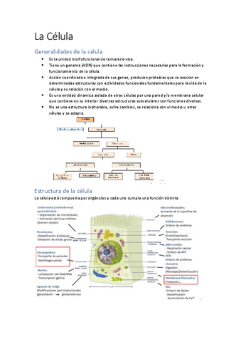 Apuntes-de-biologia-celular.pdf