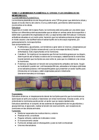 BIOLOGIA-TEMA-7.pdf