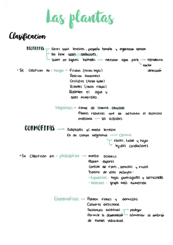 Apuntes-biologia-plantas.pdf