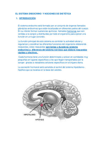 TEMA-8ENDOCRINO.pdf