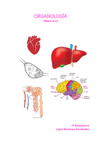 Apuntes-Organologia.pdf