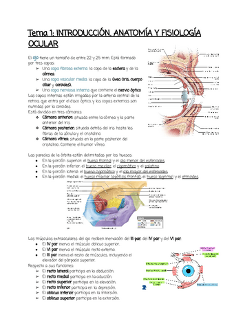 Tema-1.pdf