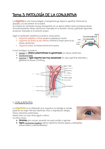 Tema-3.pdf