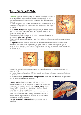 Tema-10.pdf