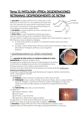 Tema-13.pdf