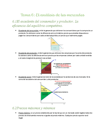 Tema-6.-El-analisis-de-mercado.pdf