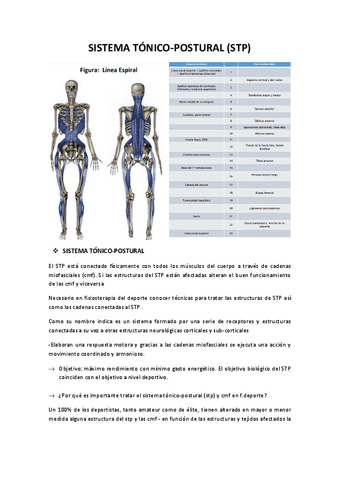 Sistema-Tonico-Postural.pdf