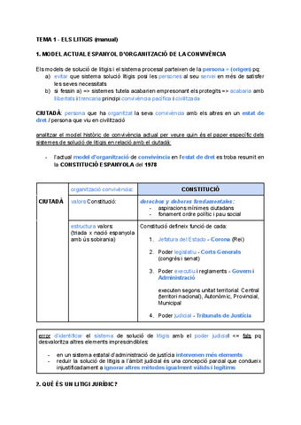 TEMA-1-ELS-LITIGIS-manual.pdf