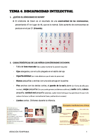 TEMA-5.pdf