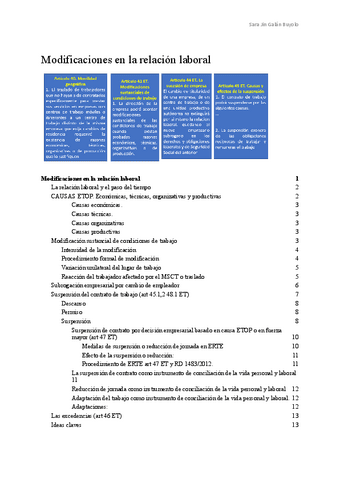 6.-Modificaciones-en-la-relacion-laboral-2.pdf