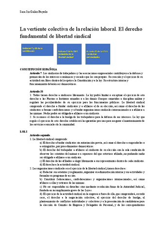 8.-La-vertiente-colectiva-de-la-relacion-laboral.pdf