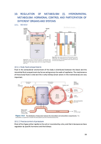 TEMA10.pdf