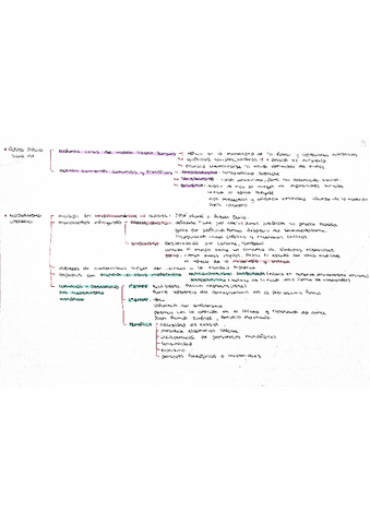 Apuntes-literatura-completos.pdf
