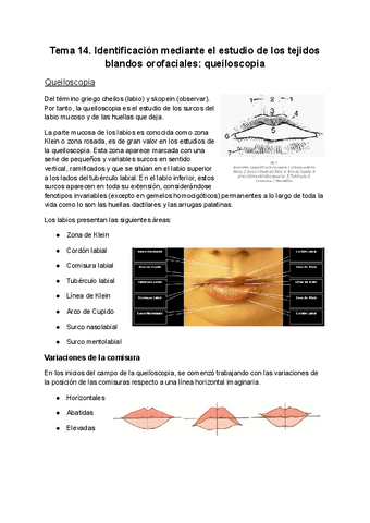 Tema-14.-Identificacion-mediante-el-estudio-de-los-tejidos-blandos-orofaciales.-queiloscopia.pdf