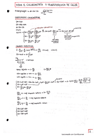 4.Apuntes-de-clase-termo-tema-4.pdf