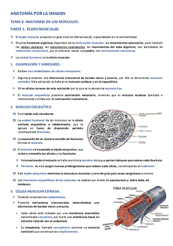 TEMA-9.-ANATOMIA-DE-LOS-MUSCULOS..pdf