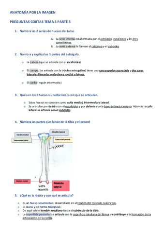 APLI-PREGUNTAS-CORTAS-TEMA-3-PARTE-3.pdf