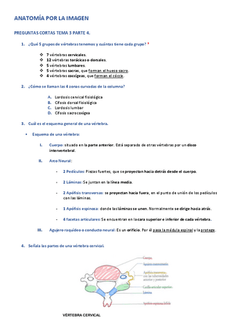 APLI-PREGUNTAS-CORTAS-TEMA-3-PARTE-4.pdf