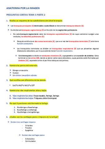 APLI-PREGUNTAS-CORTAS-TEMA-5-PARTE-2.pdf