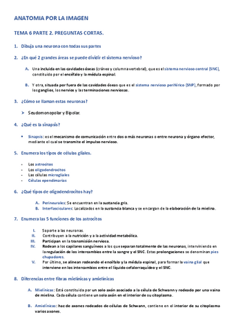 APLI-PREGUNTAS-CORTAS-TEMA-6-PARTE-2.pdf