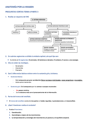 APLI-PREGUNTAS-CORTAS-TEMA-6-PARTE-3.pdf