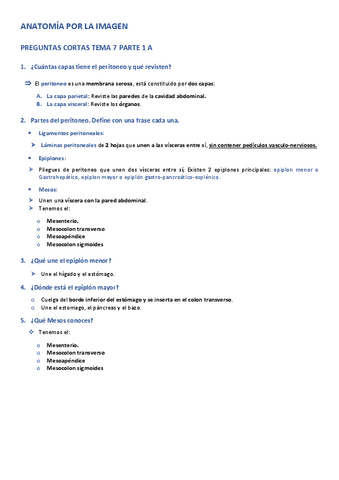 APLI-PREGUNTAS-CORTAS-TEMA-7-PARTE-1-A.pdf