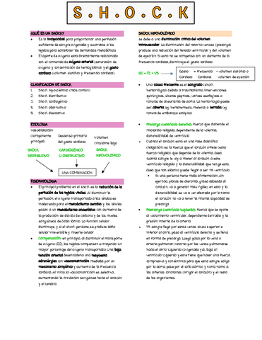 shock.pdf