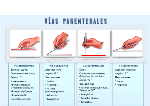 VIA-PARENTERAL.pdf