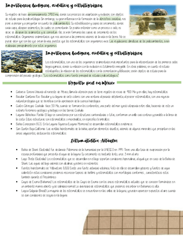 Importancia-de-estromatolitos.pdf
