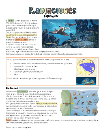 Radiaciones.pdf