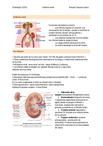 S.renal.pdf