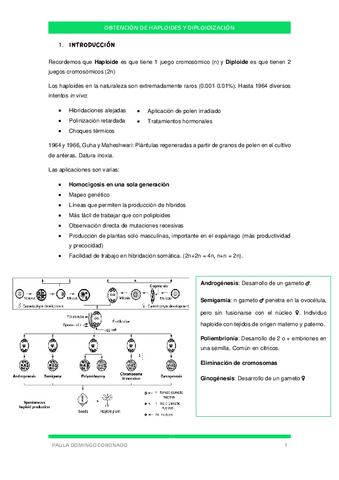TEMA-5-ANA-CIV.pdf
