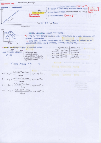 TBL-apuntes-de-practicas.pdf