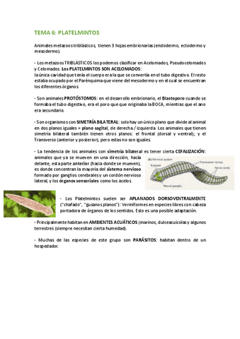 TEMA-6-PLATELMINTOS.pdf