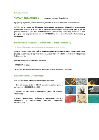TEMA-7-NEMATODOS.pdf