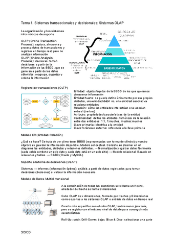 SISCD-1.pdf