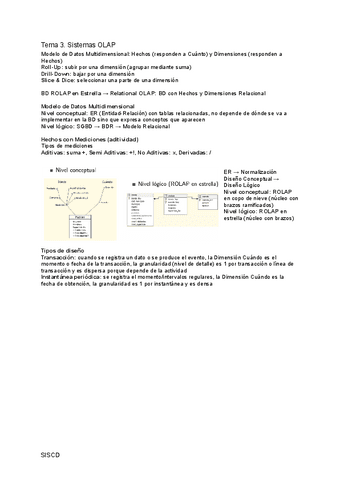 SISCD-3.pdf