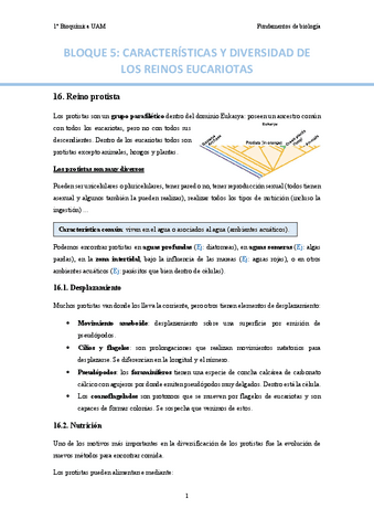BLOQUE-5.pdf