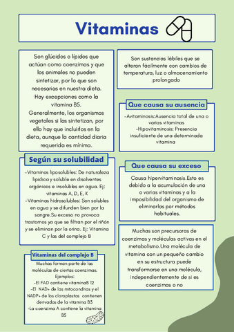 Vitaminas.pdf