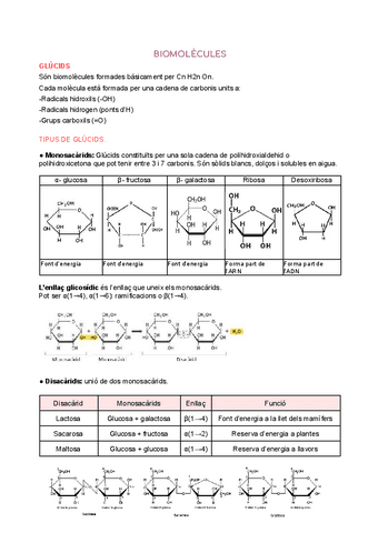 Biomolecules-i-biotecnologia.pdf
