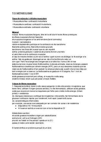 T-3-Metabolisme.pdf