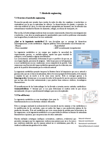 TEMA-7-MB.pdf