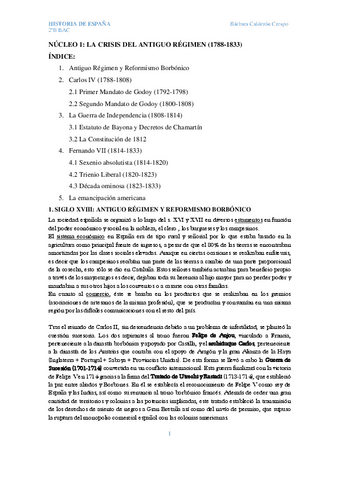 RESUMEN-NUCLEO-1.pdf