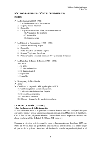 RESUMEN-NUCLEO-3.pdf